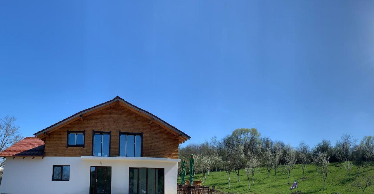 Pensiunea Lili'S House Buchin Exterior foto